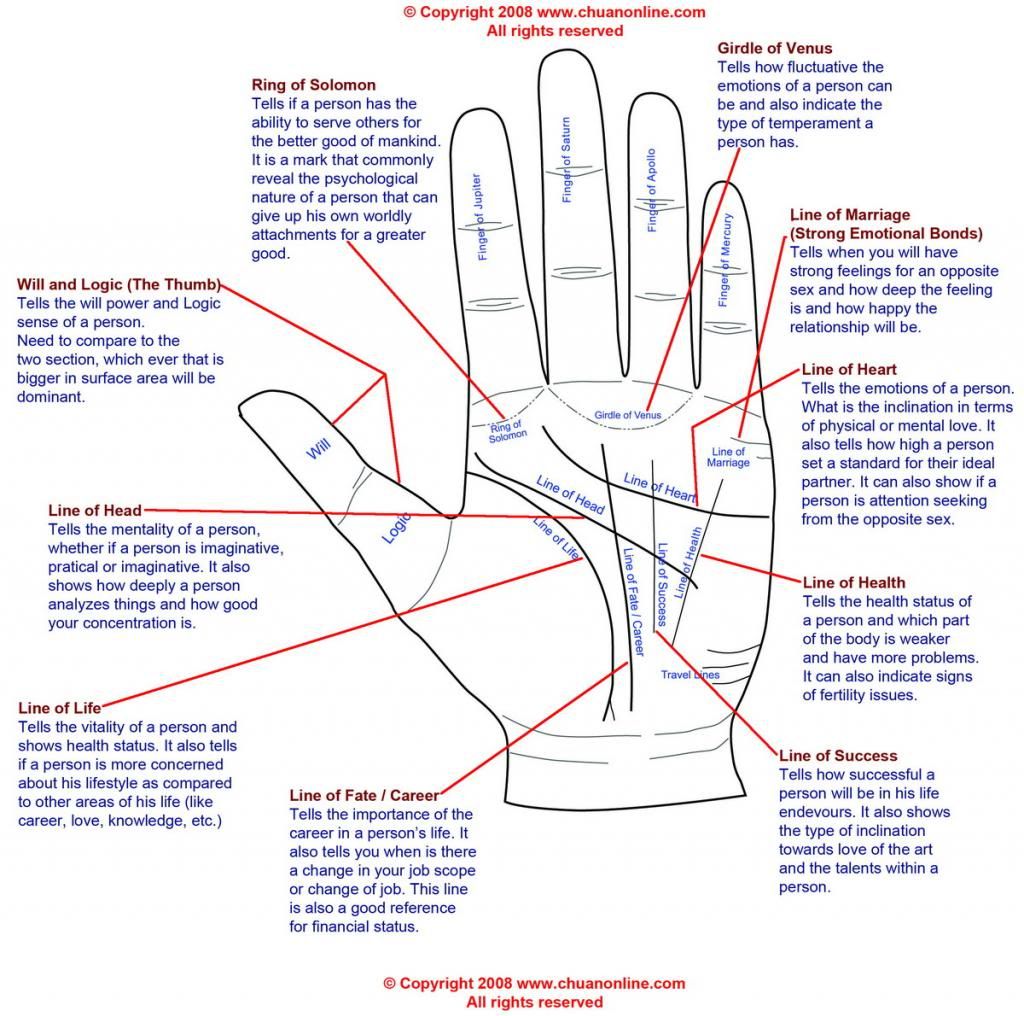 Uncover Palmistry Lines Meaning Now Easily Uncover Palmistry Lines