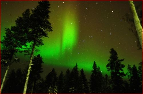 Laponia, un cuento de Navidad - Blogs de Finlandia - SABADO 7 – DEPORTES DE INVIERNO Y PASEO EN HUSKIES (5)