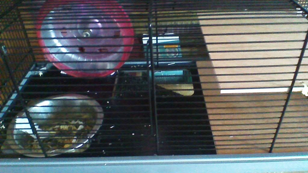 would this be a safe material for my gerbils please help!!!! The