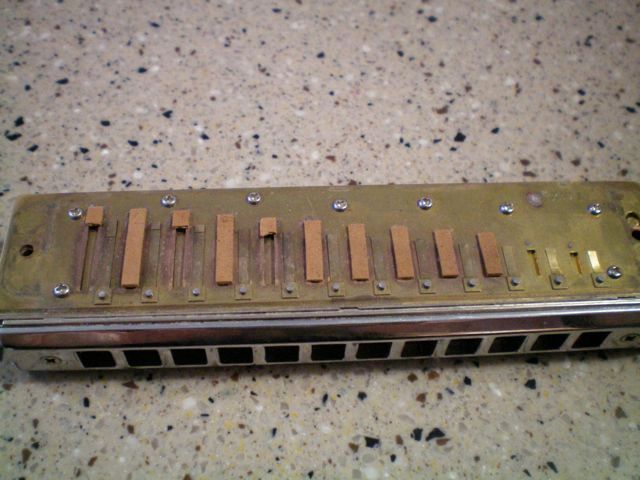 photo 100_0008_zps4elvxcbh.jpg