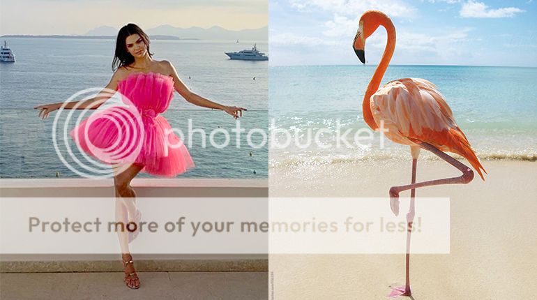 Master The Flattering Flamingo Pose For Your Next Instagram Photo