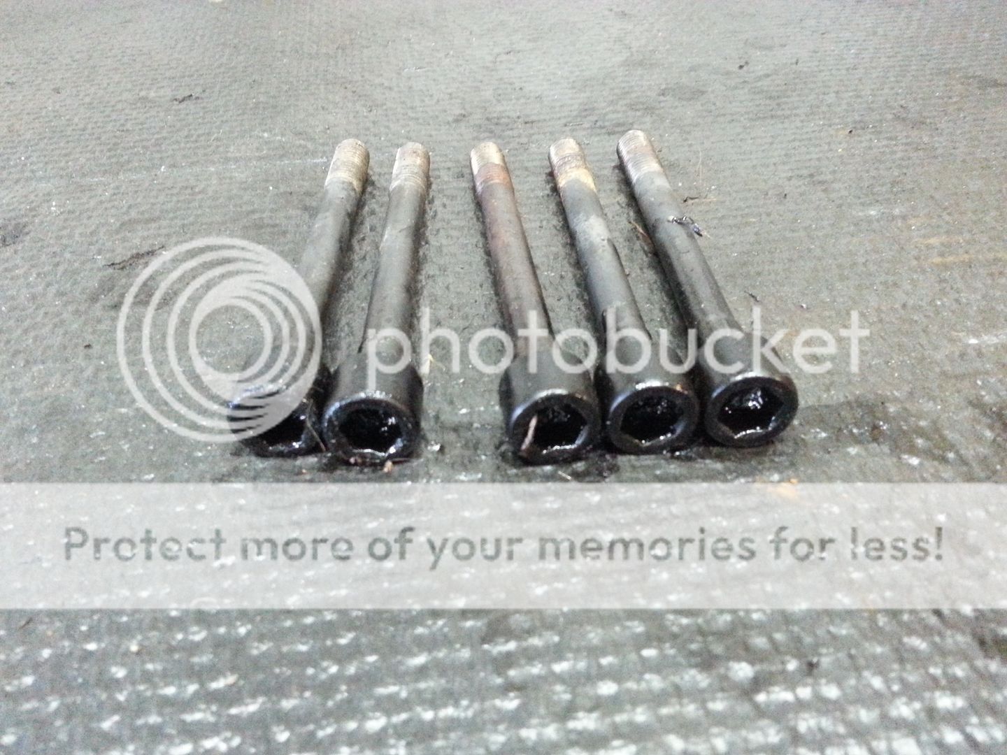  photo 20150920_182540_zpswvbxgvik.jpg