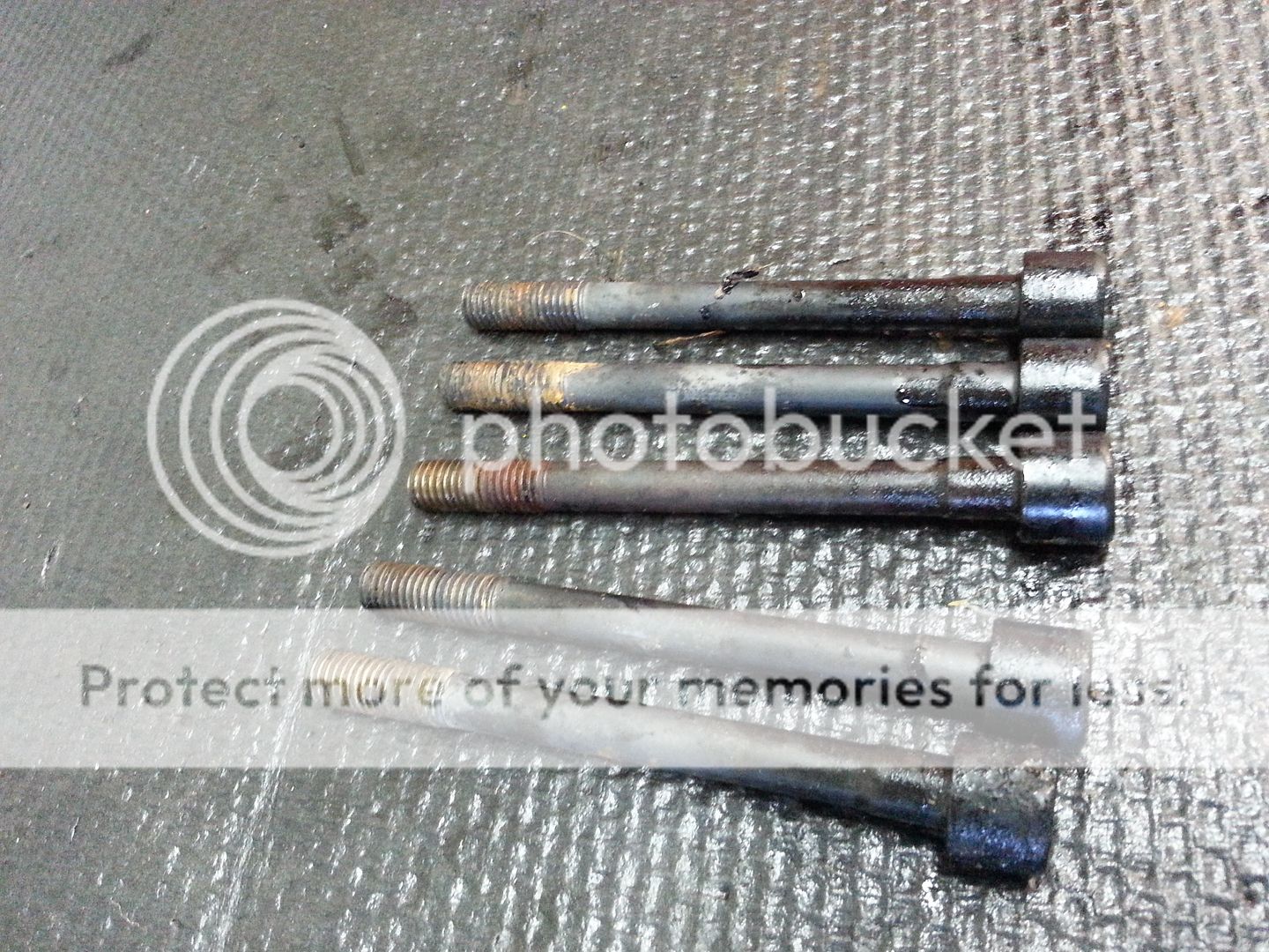  photo 20150920_182545_zpsm301sgut.jpg