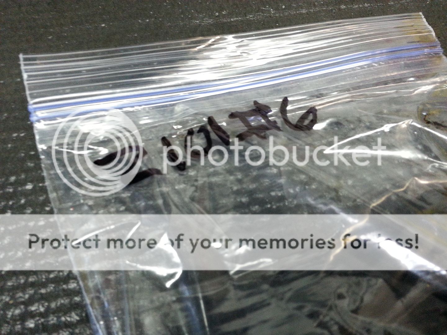  photo 20150920_182613_zpsusafx8df.jpg