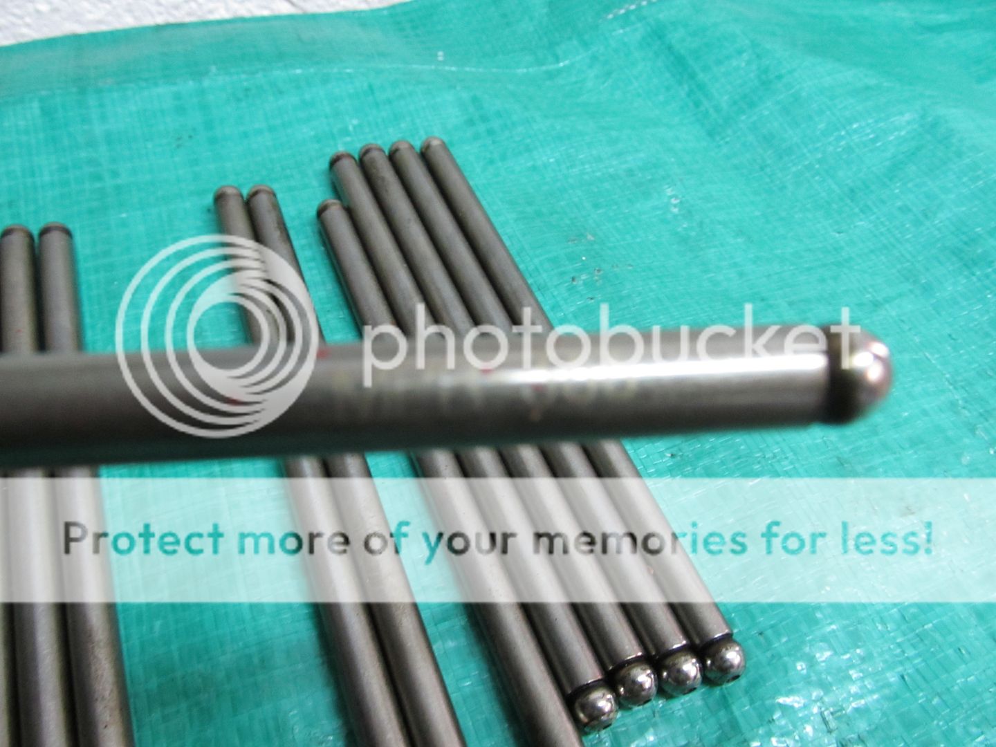  photo IMG_0792_zps76cc18db.jpg