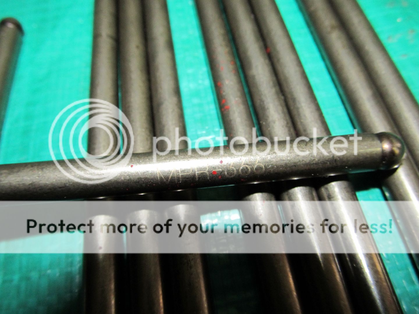  photo IMG_0793_zps165be388.jpg