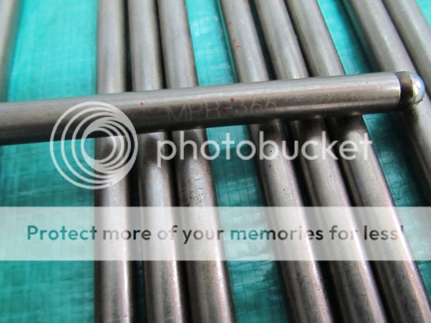  photo IMG_0794_zps717a54d3.jpg